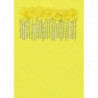 Birba&Trybeyound 64447-00-35F Bluzka krótki rękaw kolor żółty