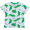 Komplet Bluzka Szorty Dinozaur chłopak zielony 18722-26424 GKMOC