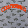 T-Shirt Dinozaur chłopak szary 1429-26424 GKMOC