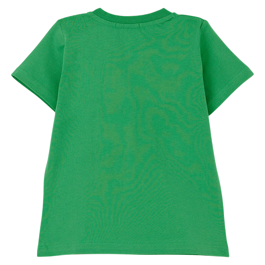 Bluzka dinozaur chłopięca zielony Breeze 19772-14425-48