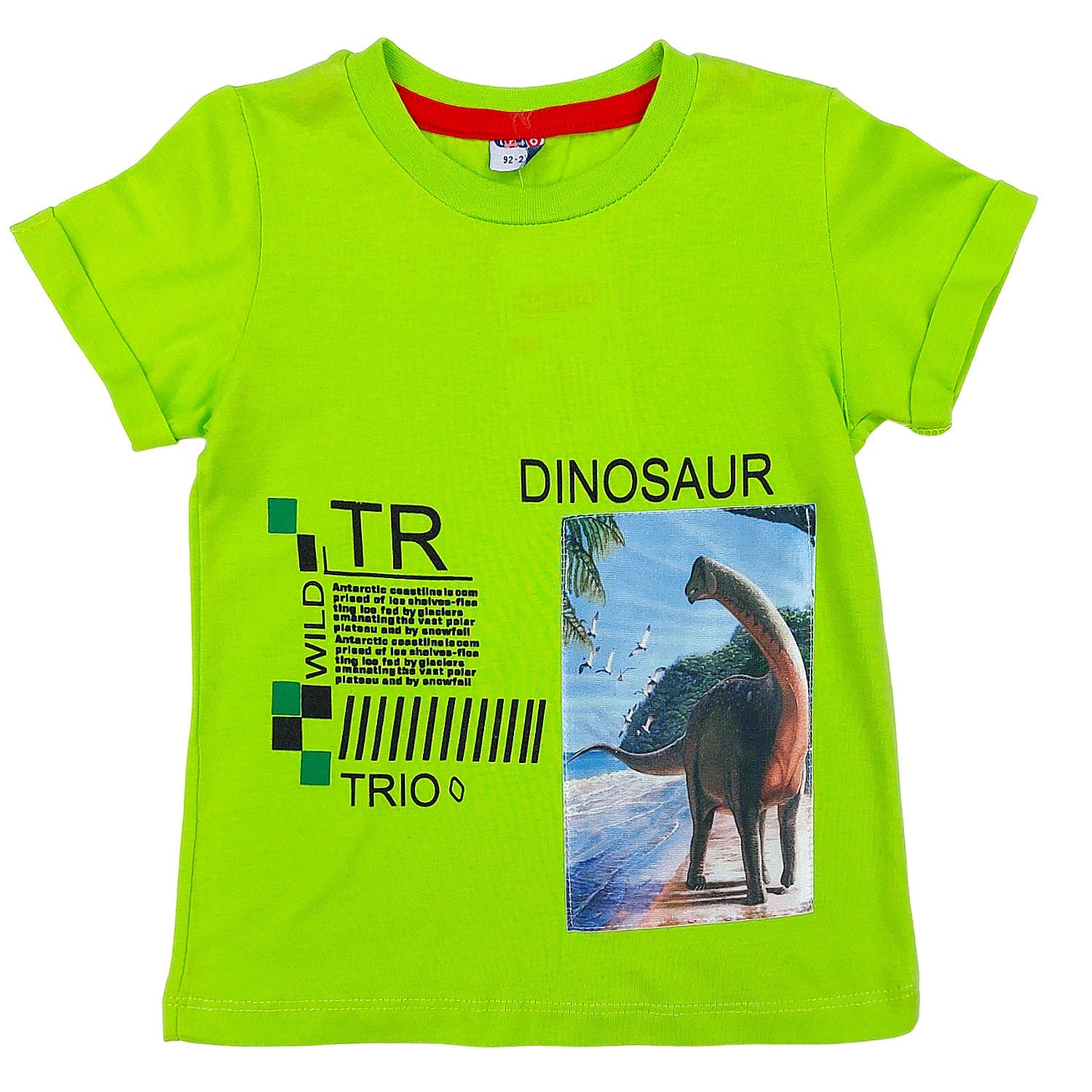 Komplet Dinozaur chłopięcy zielony 1323-28524 GKMOC -  - #tag1# - #tag2# - #tag3# - #tag4#