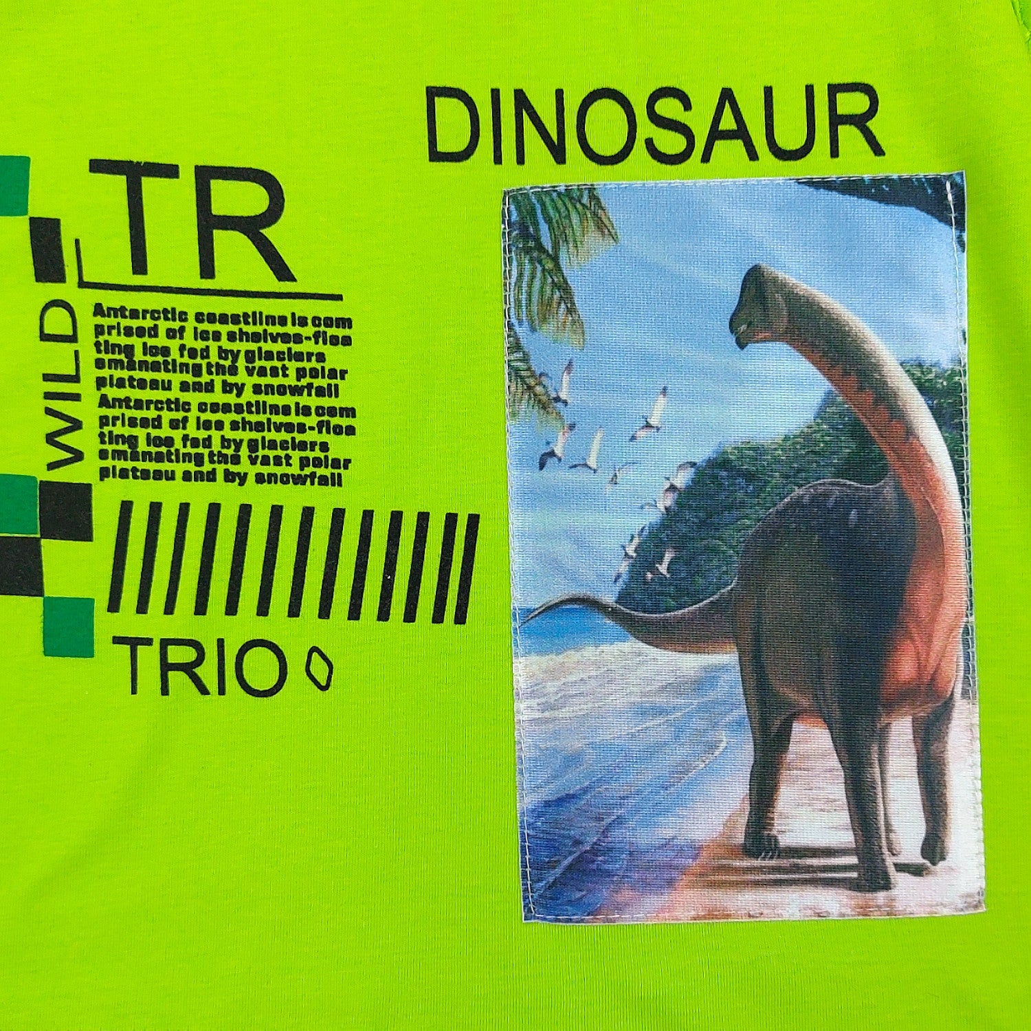 Komplet Dinozaur chłopięcy zielony 1323-28524 GKMOC -  - #tag1# - #tag2# - #tag3# - #tag4#