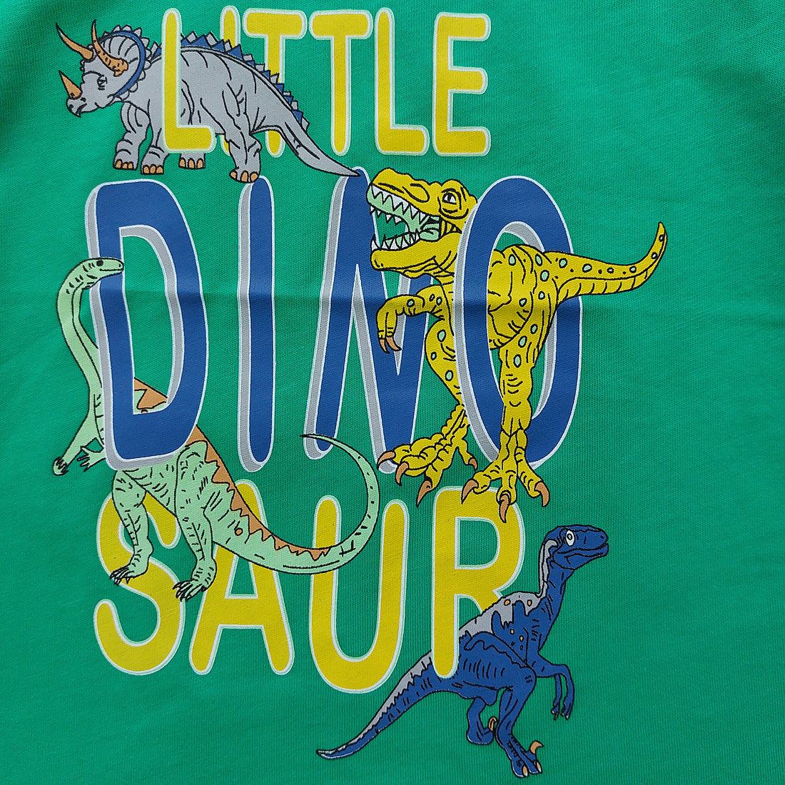 T-Shirt Dinosaur boy green 18615-9424 GKMOC