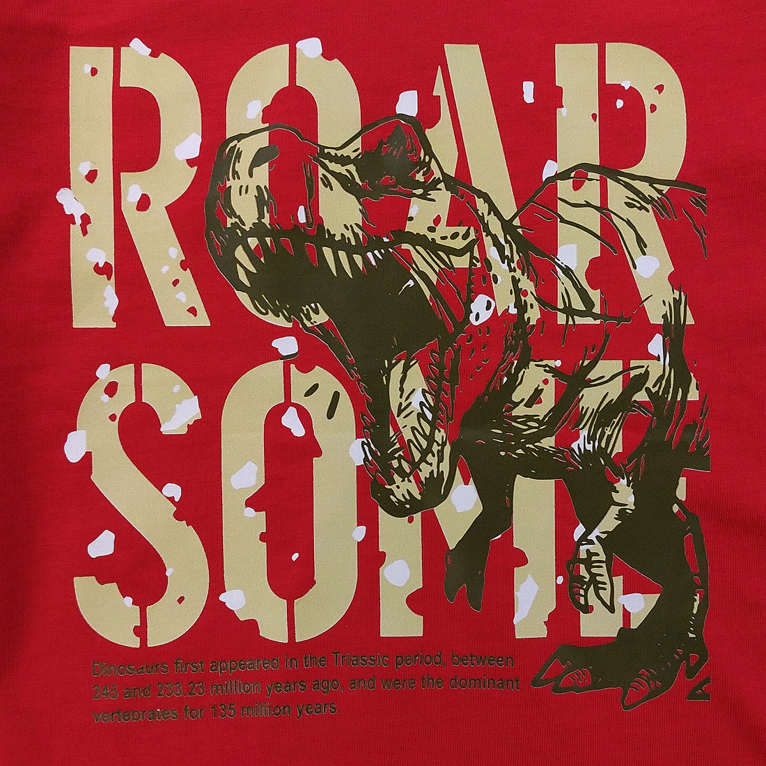 T-Shirt Roar Some boy red 509-9424 GKMOC